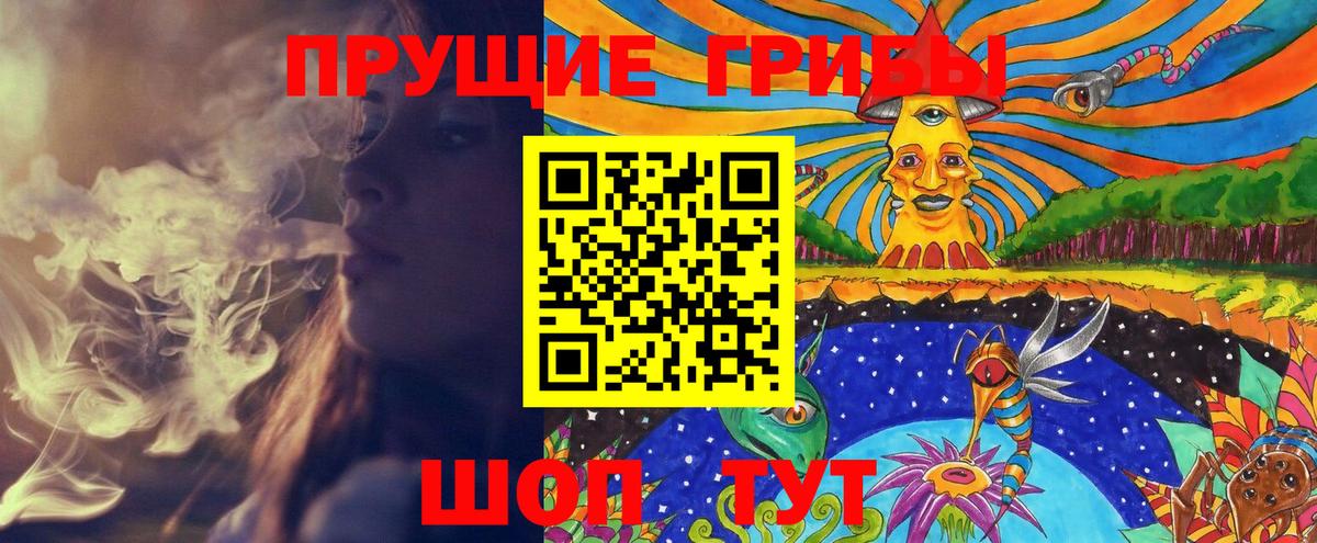 Псилоцибиновые грибы Psilocybe Воронеж