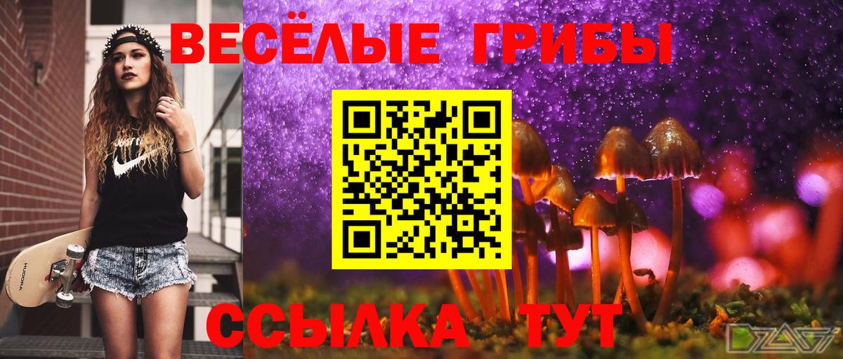 сколько стоит  Вход с VPN  Воронеж  Галлюциногенные грибы мухоморы 